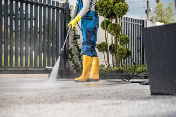 Best Dumpster Area Cleaning  in East Lake, FL