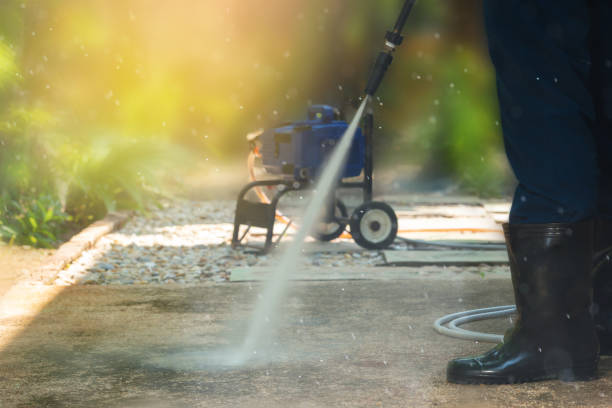 Best Roof Washing  in East Lake, FL